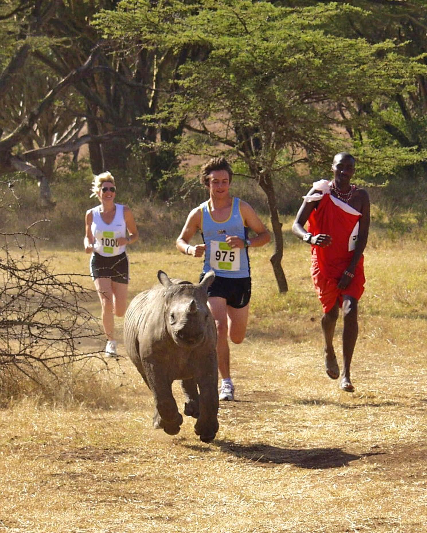 Guided Running Safaris — A Thrilling Wildlife Adventure
