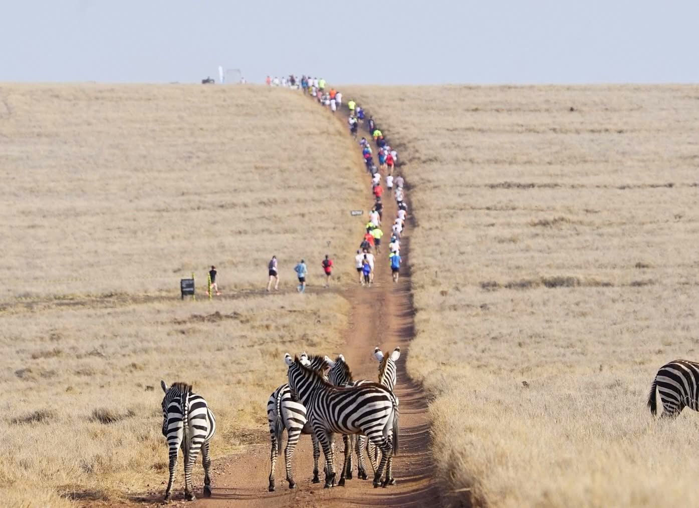 Guided Running Safaris — A Thrilling Wildlife Adventure