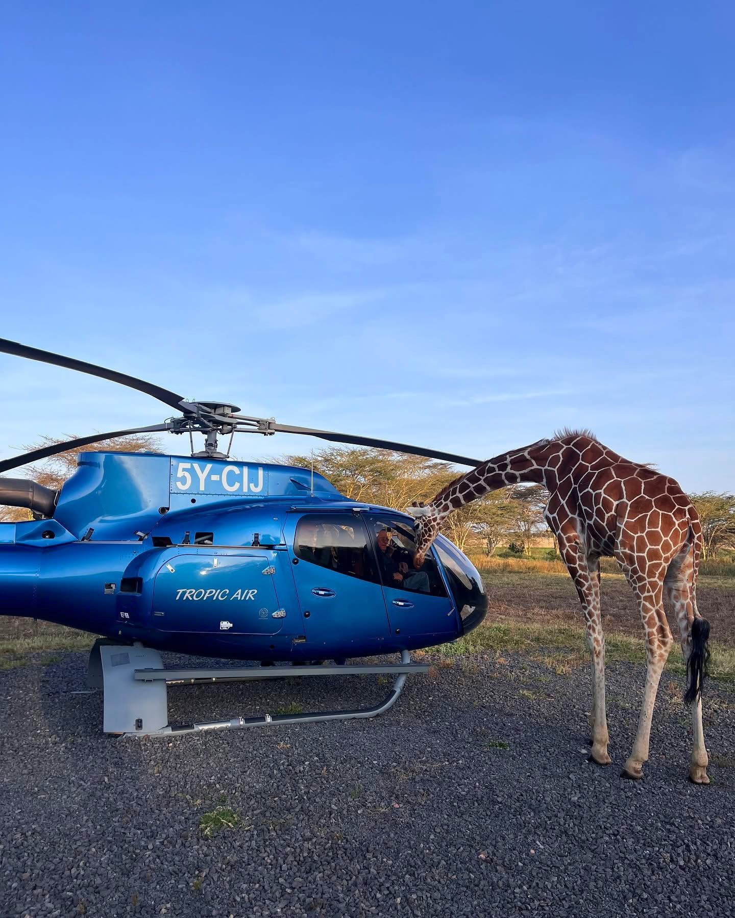 Helicopter Safaris — A Breathtaking Aerial Adventure