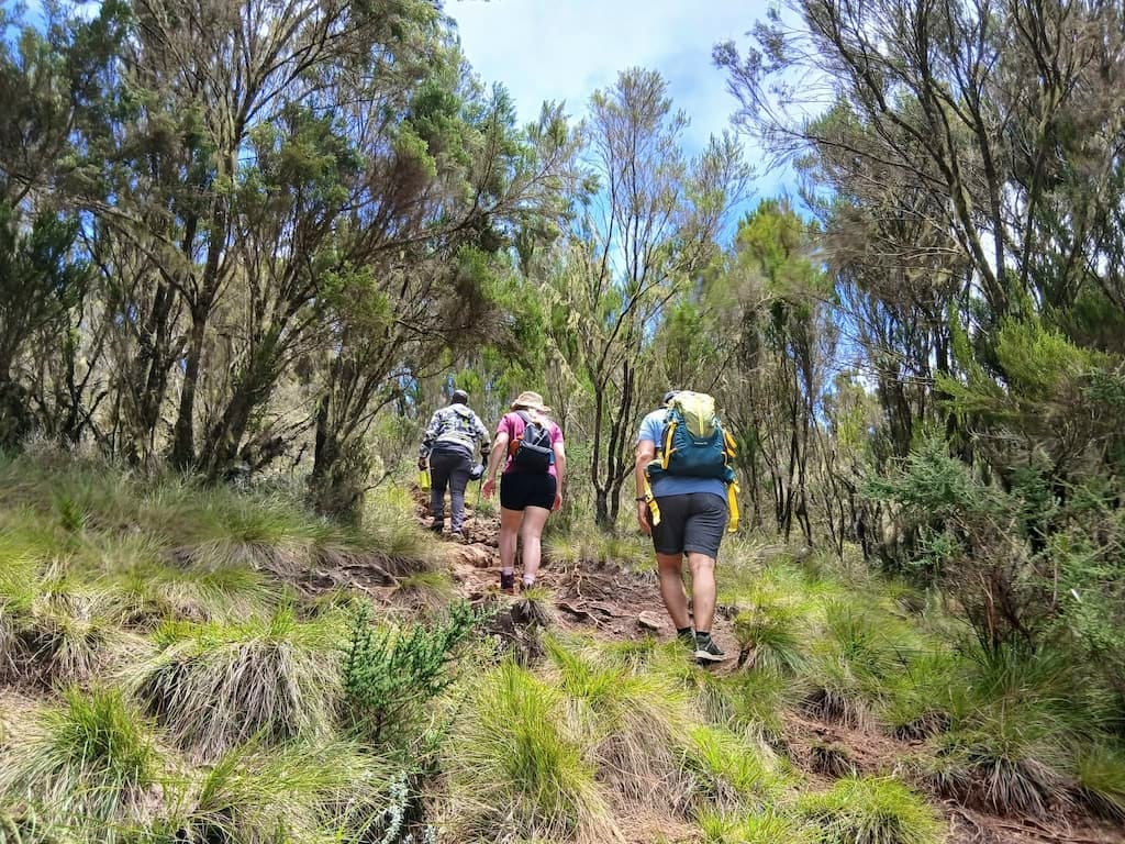 Hiking — A Safari on Foot Through Stunning Landscapes