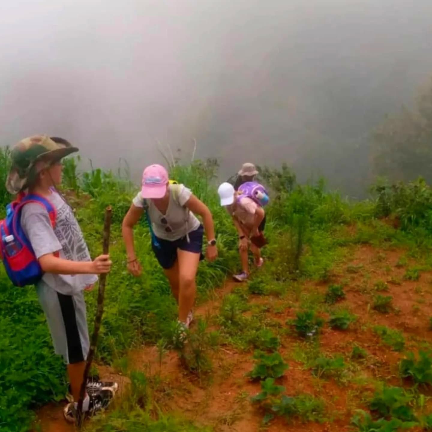 Hiking — A Safari on Foot Through Stunning Landscapes