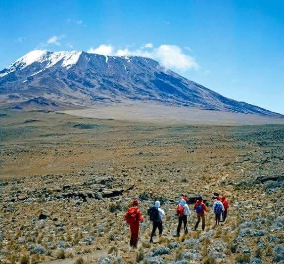 Hiking — A Safari on Foot Through Stunning Landscapes