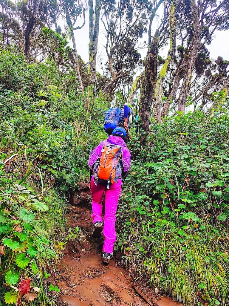 Hiking — A Safari on Foot Through Stunning Landscapes