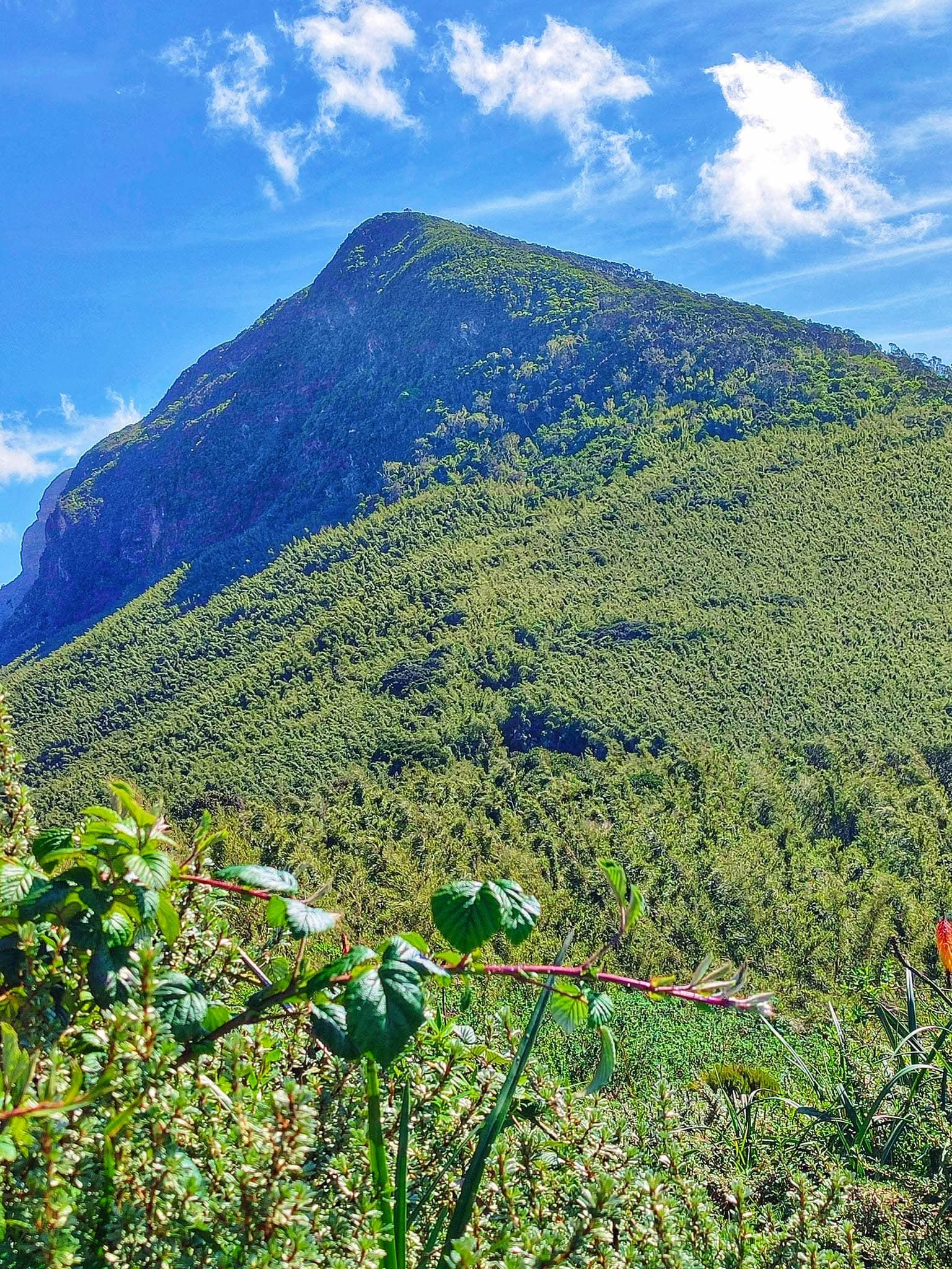 Hiking — A Safari on Foot Through Stunning Landscapes