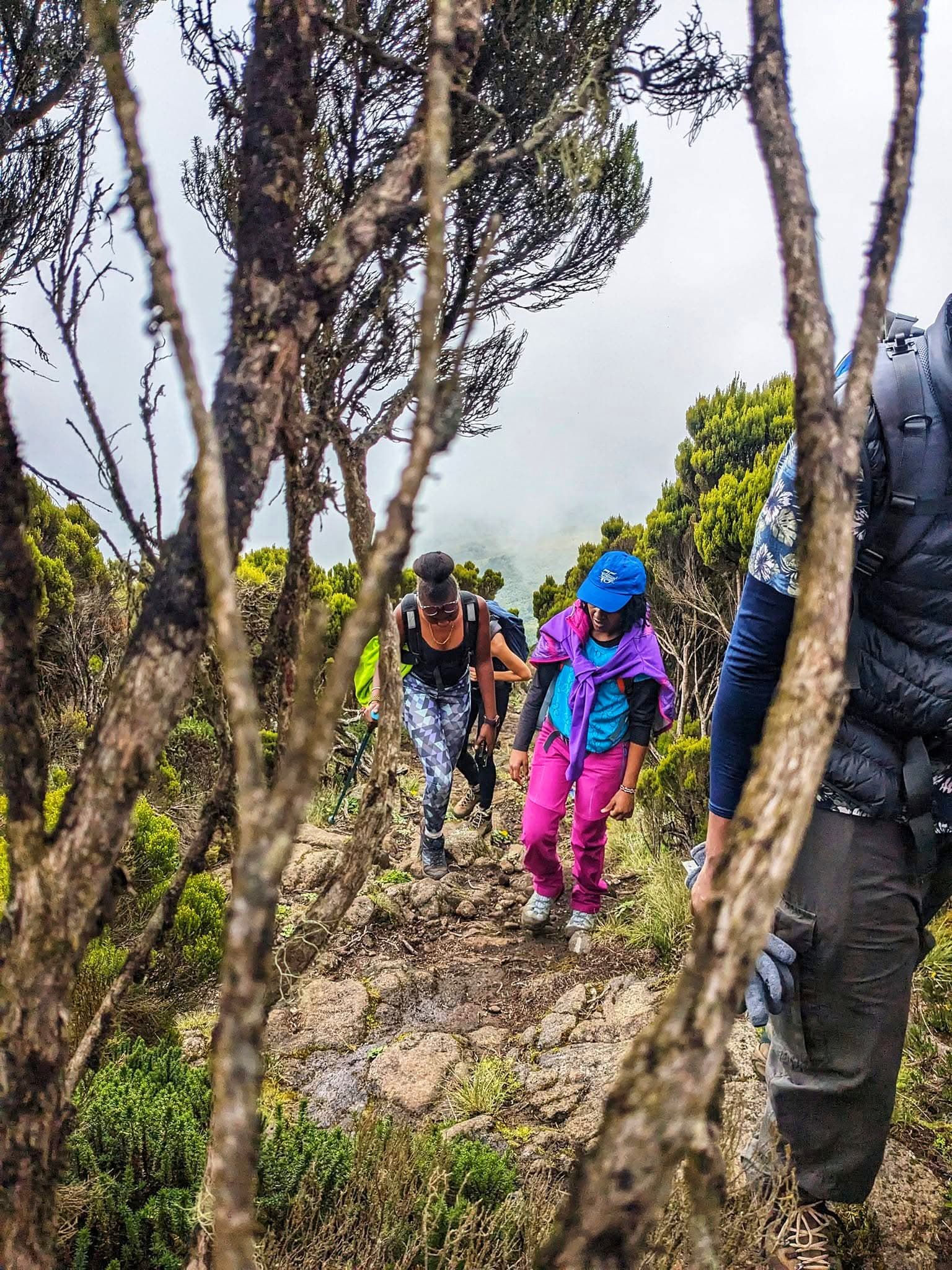 Hiking — A Safari on Foot Through Stunning Landscapes