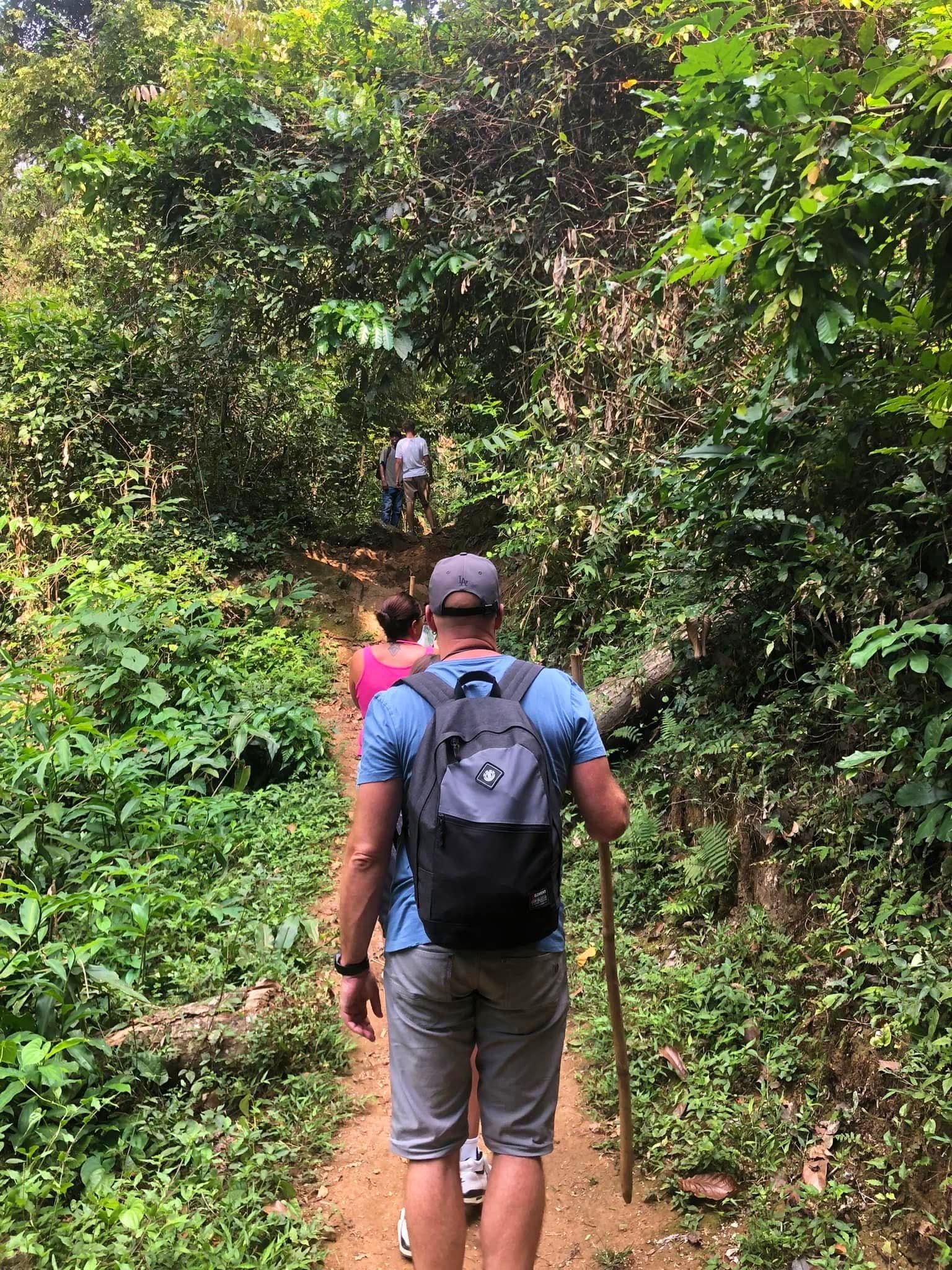 Hiking — A Safari on Foot Through Stunning Landscapes