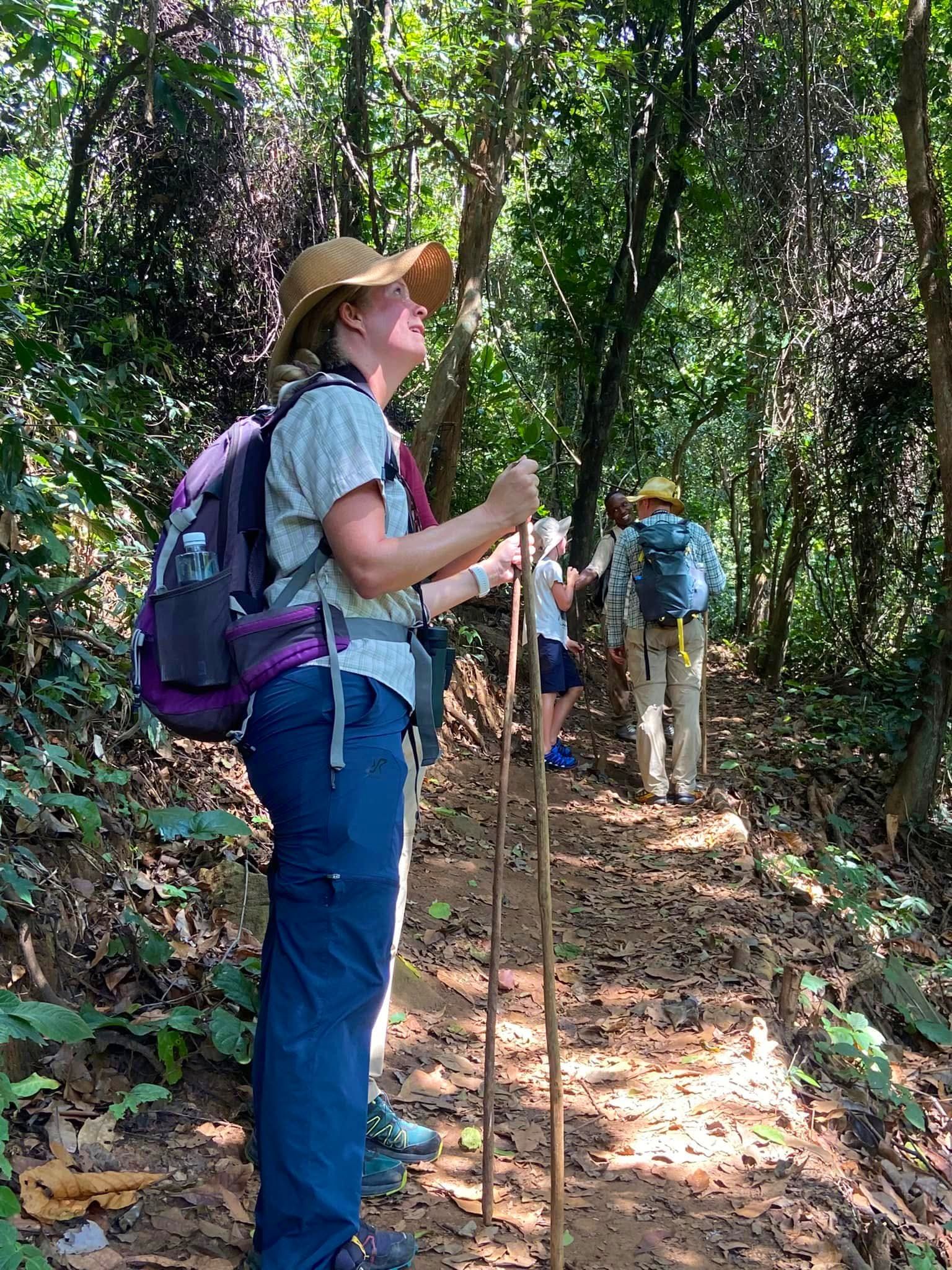 Hiking — A Safari on Foot Through Stunning Landscapes