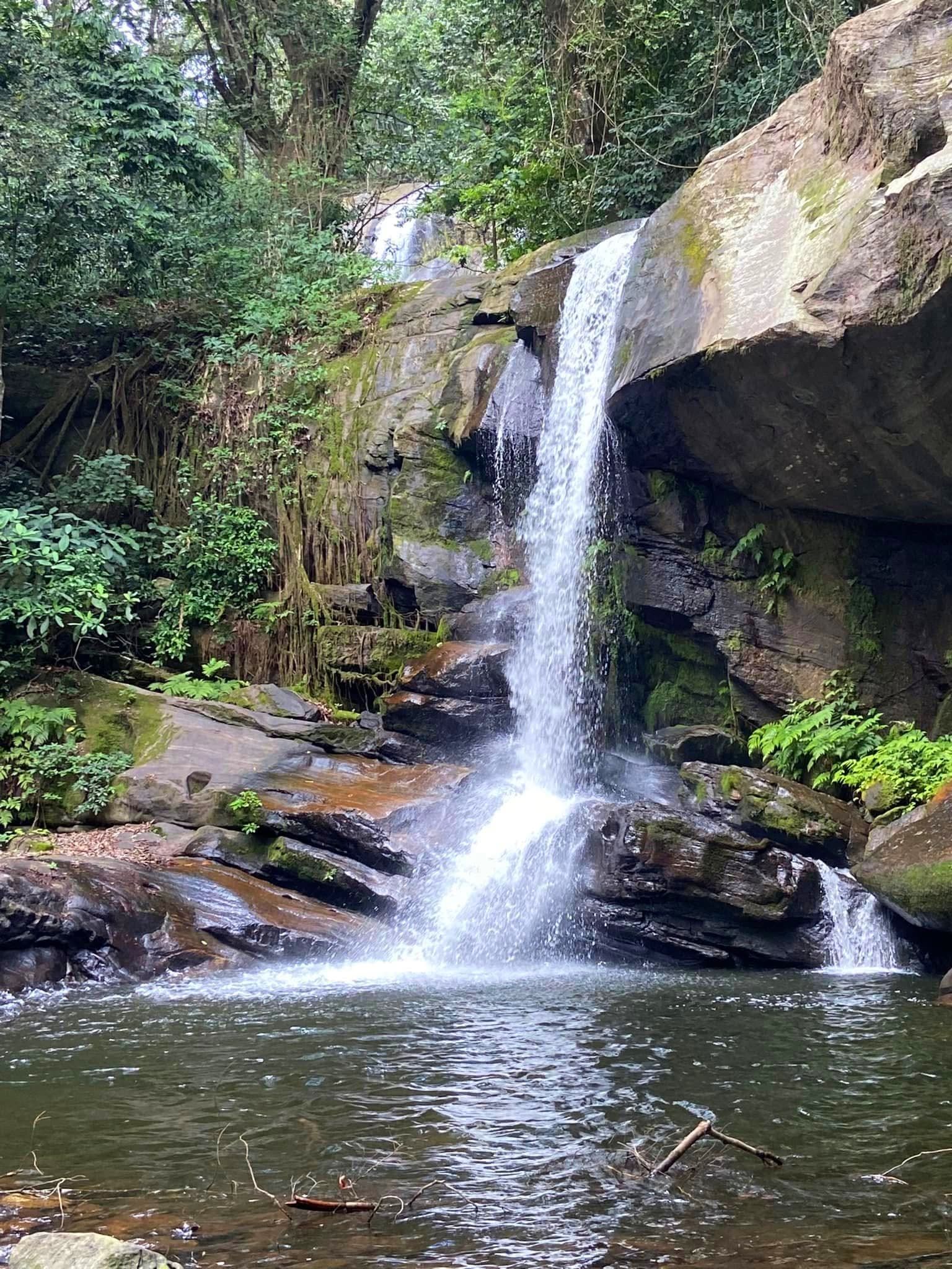 Hiking — A Safari on Foot Through Stunning Landscapes