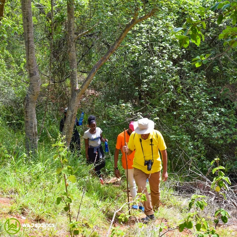 Hiking — A Safari on Foot Through Stunning Landscapes