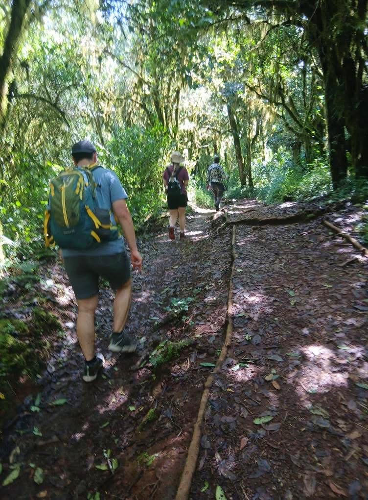 Hiking — A Safari on Foot Through Stunning Landscapes