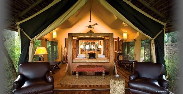 Honeymoon Safaris — A Romantic Journey into the Wild