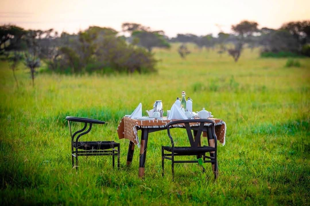 Honeymoon Safaris — A Romantic Journey into the Wild