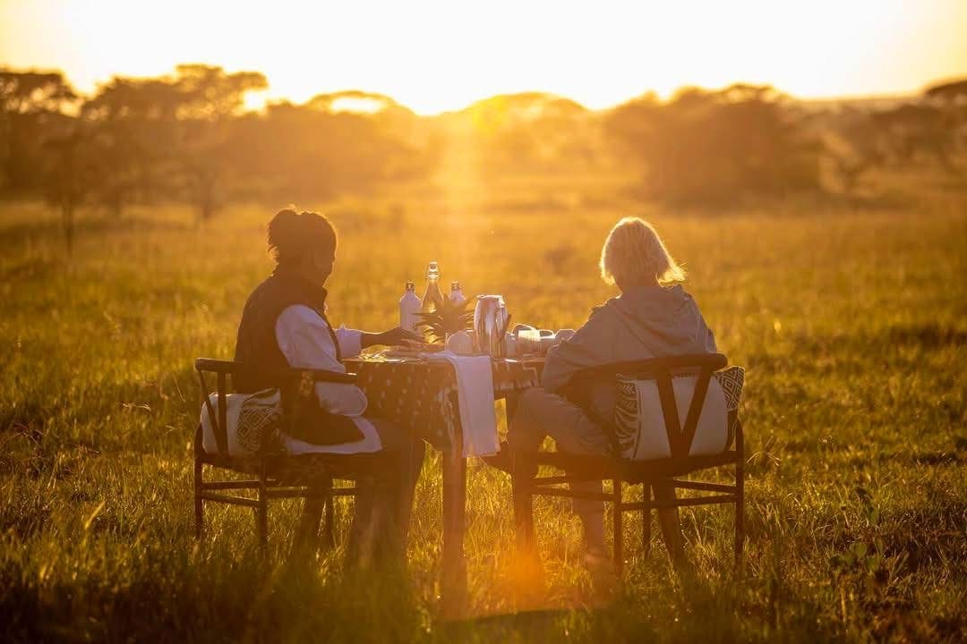 Honeymoon Safaris — A Romantic Journey into the Wild