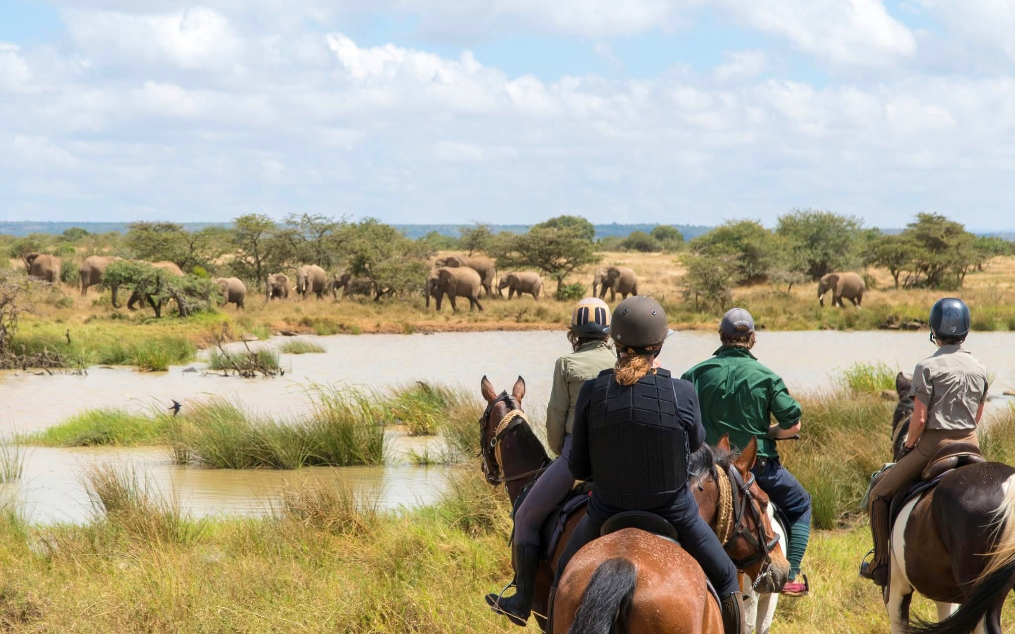 Horse Riding Safaris