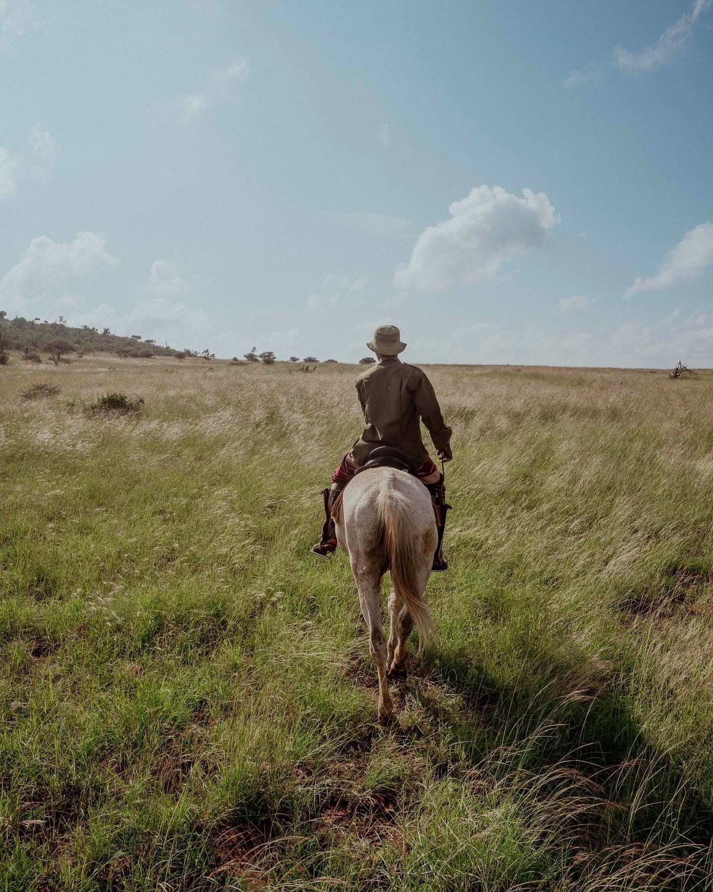 Horse Riding Safaris — A Thrilling Safari on Horseback