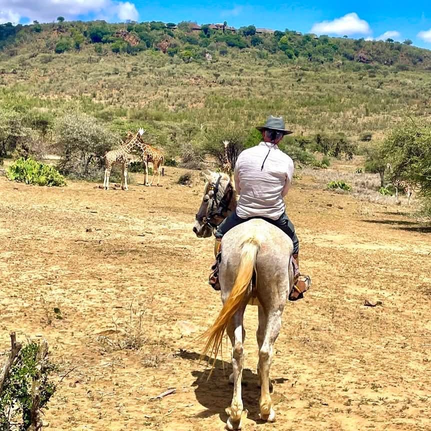 Horse Riding Safaris — A Thrilling Safari on Horseback
