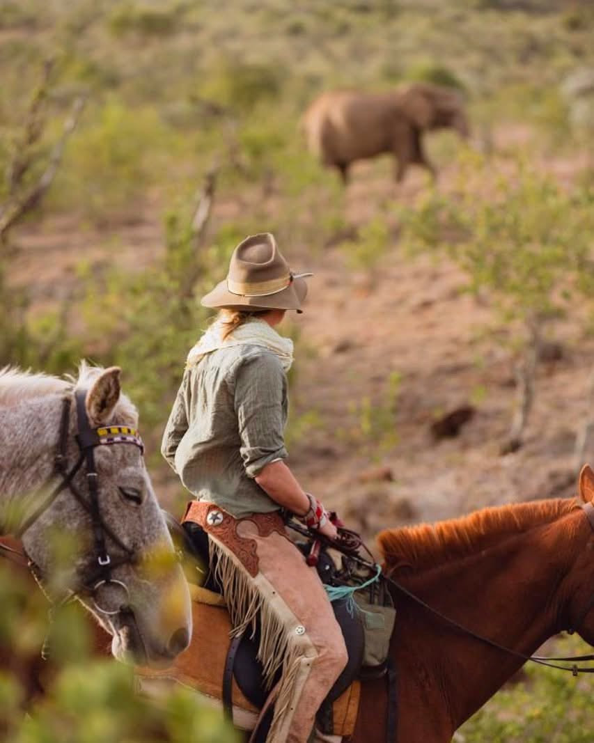 Horse Riding Safaris — A Thrilling Safari on Horseback