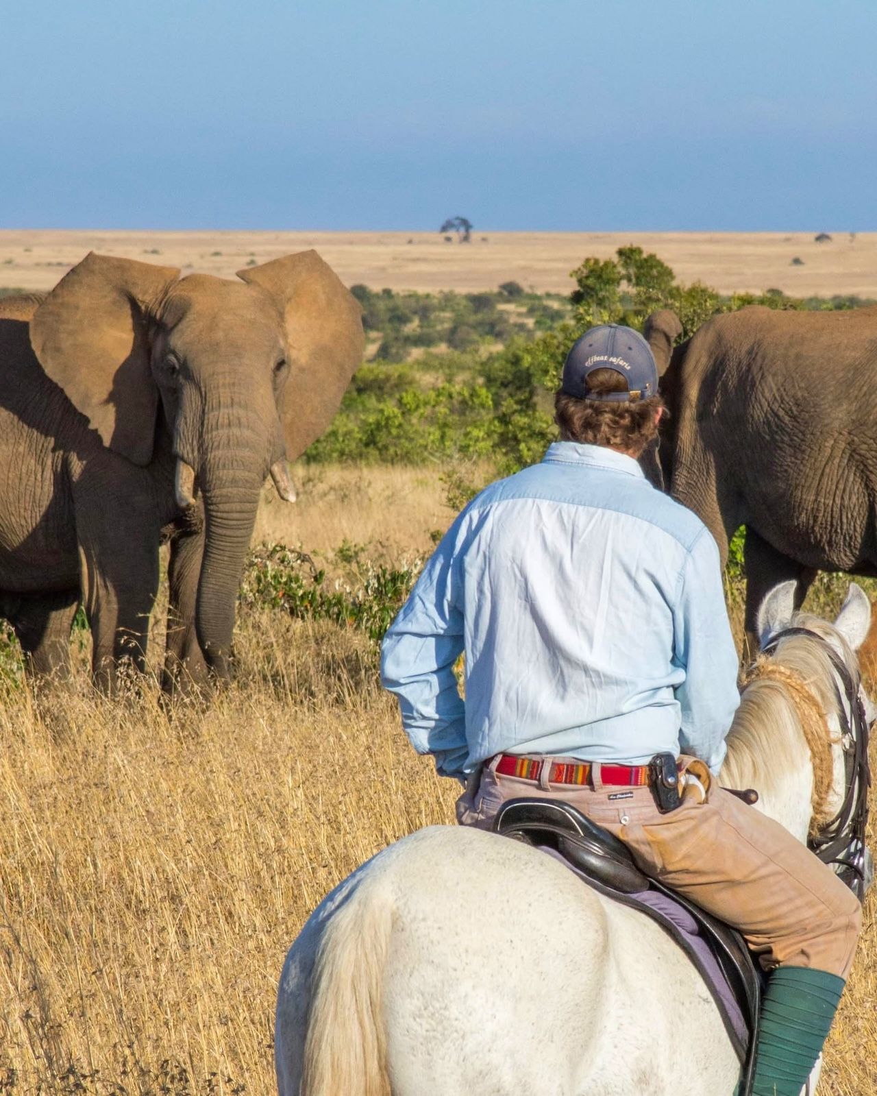 Horse Riding Safaris — A Thrilling Safari on Horseback