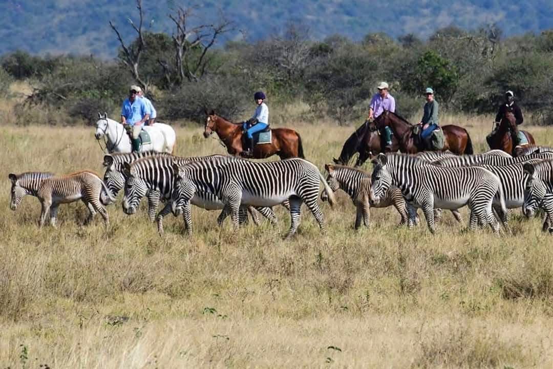 Horse Riding Safaris — A Thrilling Safari on Horseback