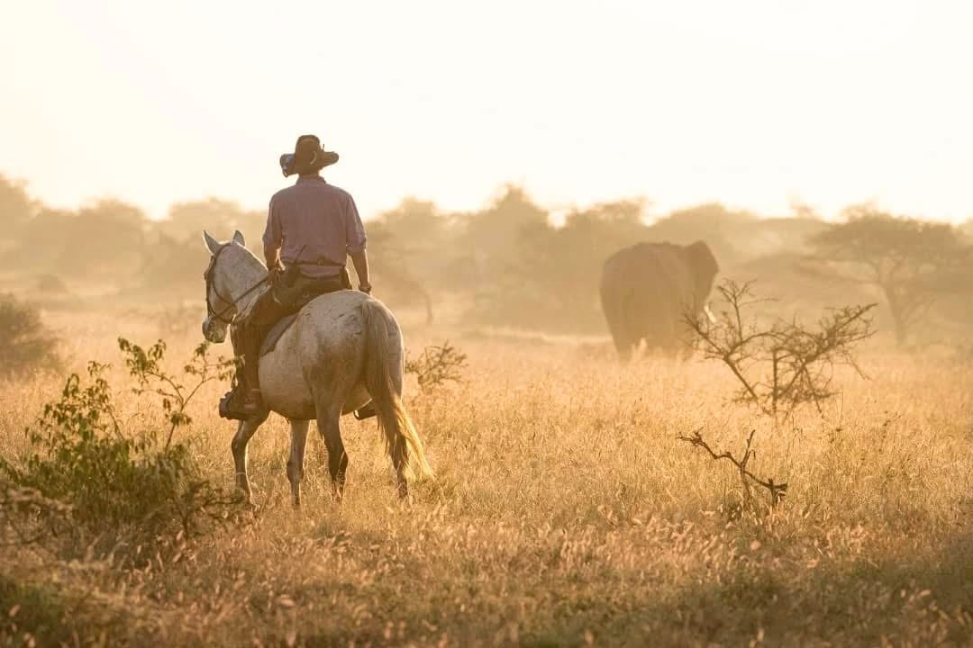 Horse Riding Safaris — A Thrilling Safari on Horseback
