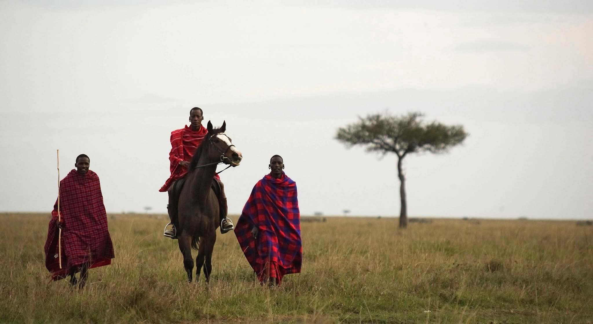Horse Riding Safaris — A Thrilling Safari on Horseback