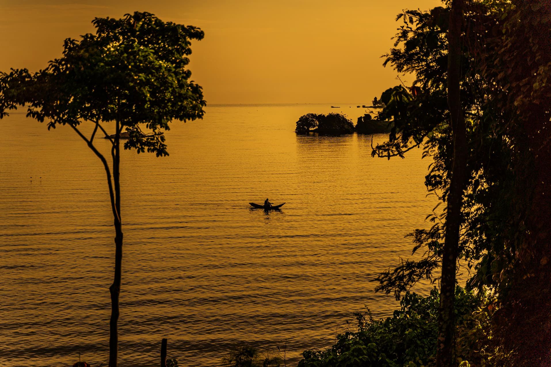 Kayaking & Canoeing — An Immersive Water Safari