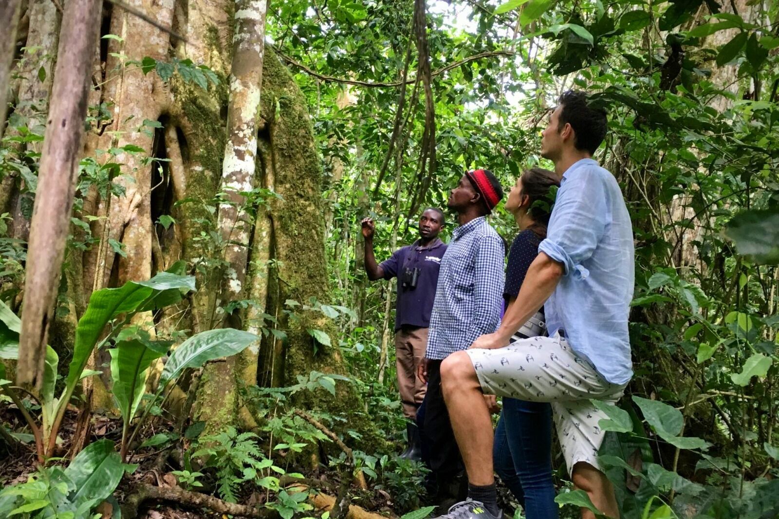 Bigodi community walk