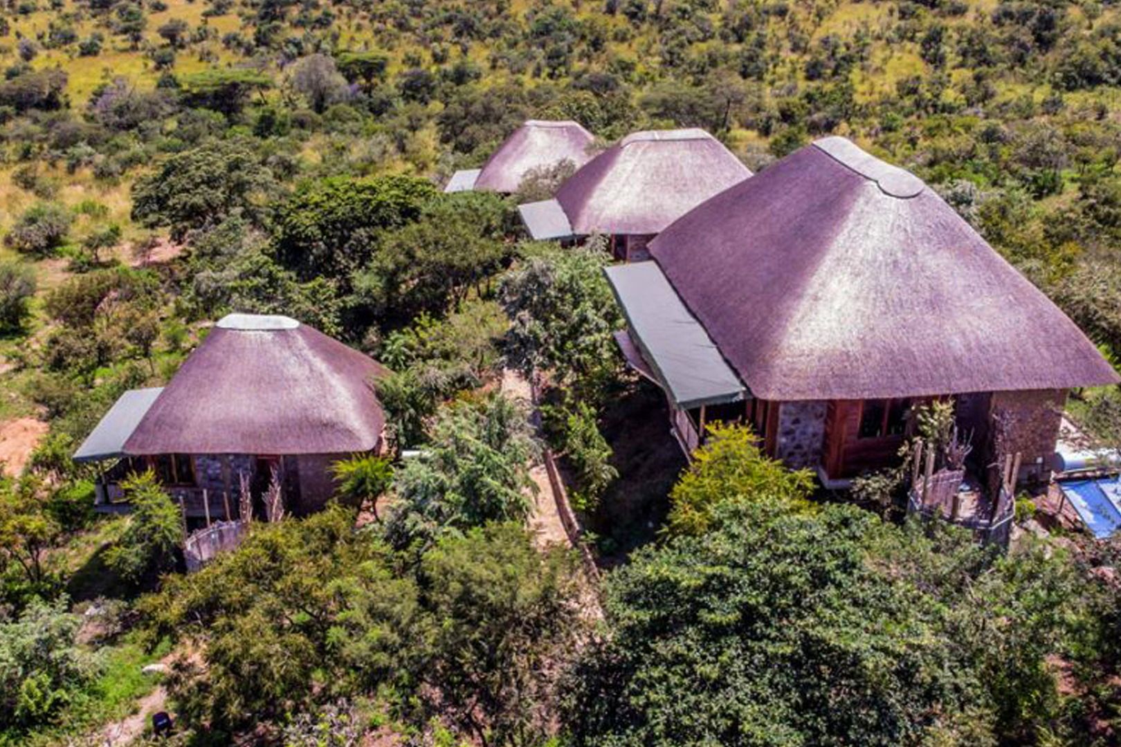 Remote safari stays