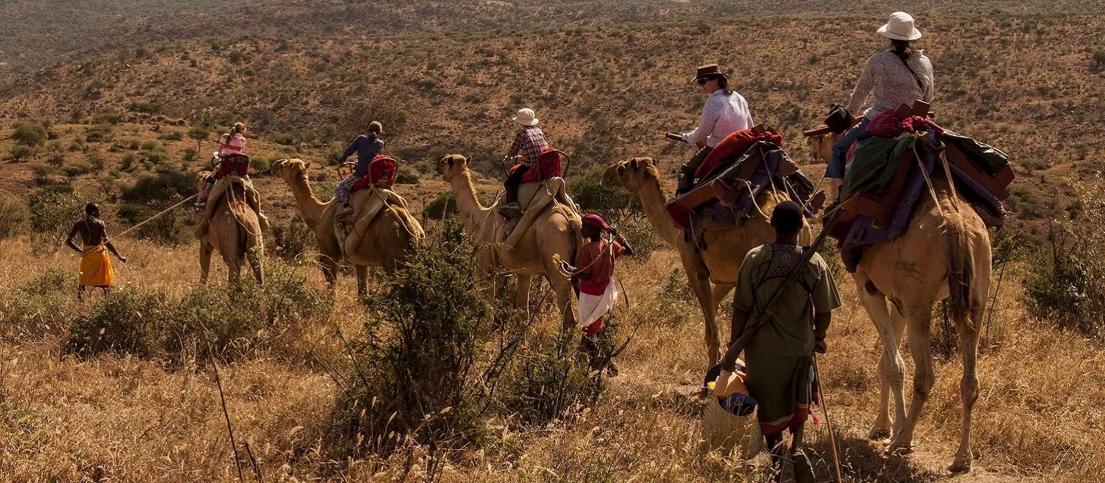 Camel trekking