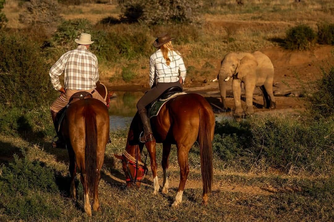 Horse riding safaris