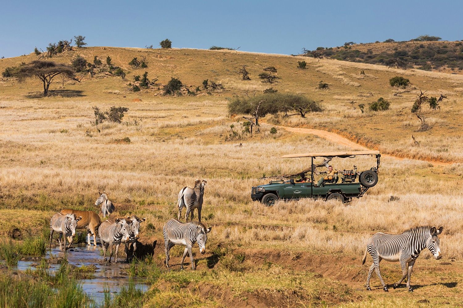 Private safari experience