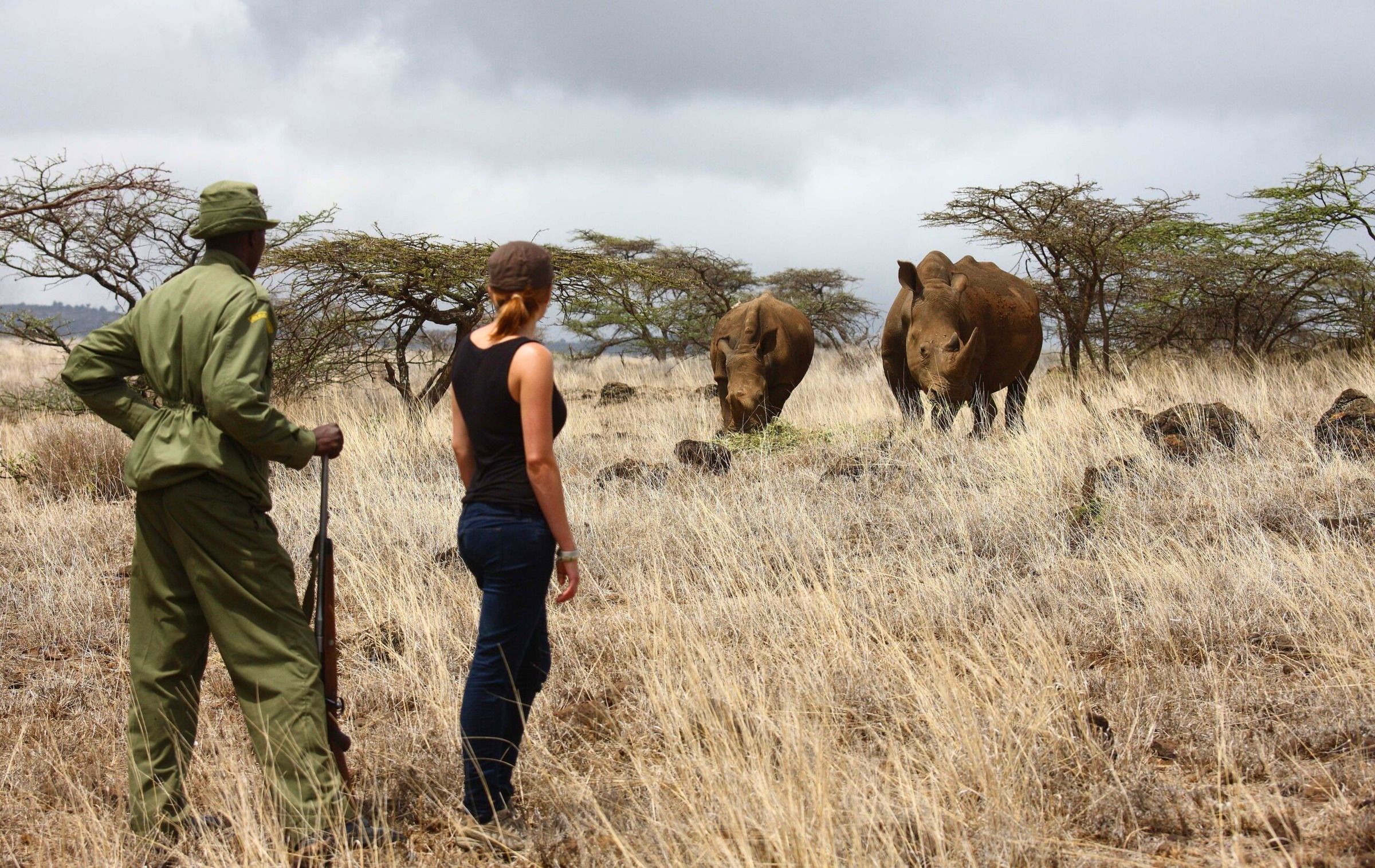 Rhino tracking