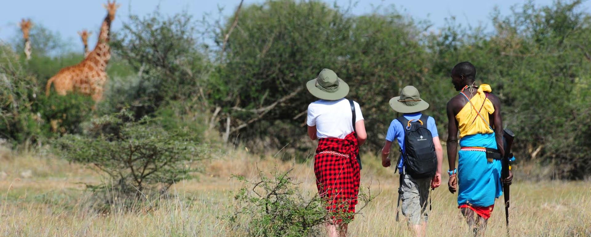 Guided walking safaris