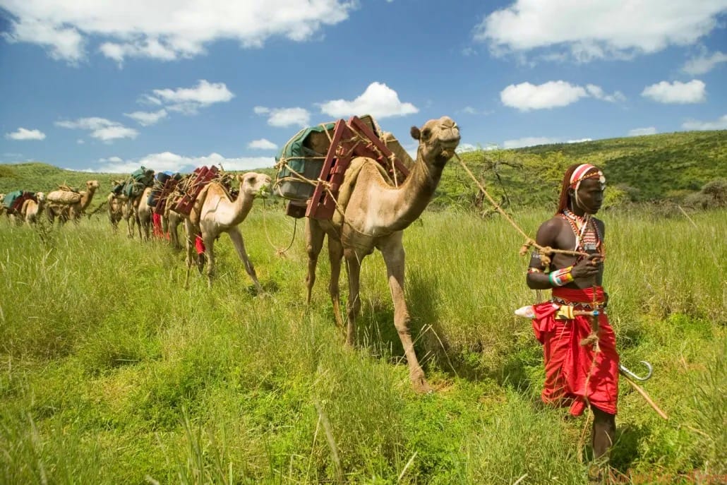Cultural & Community Visits