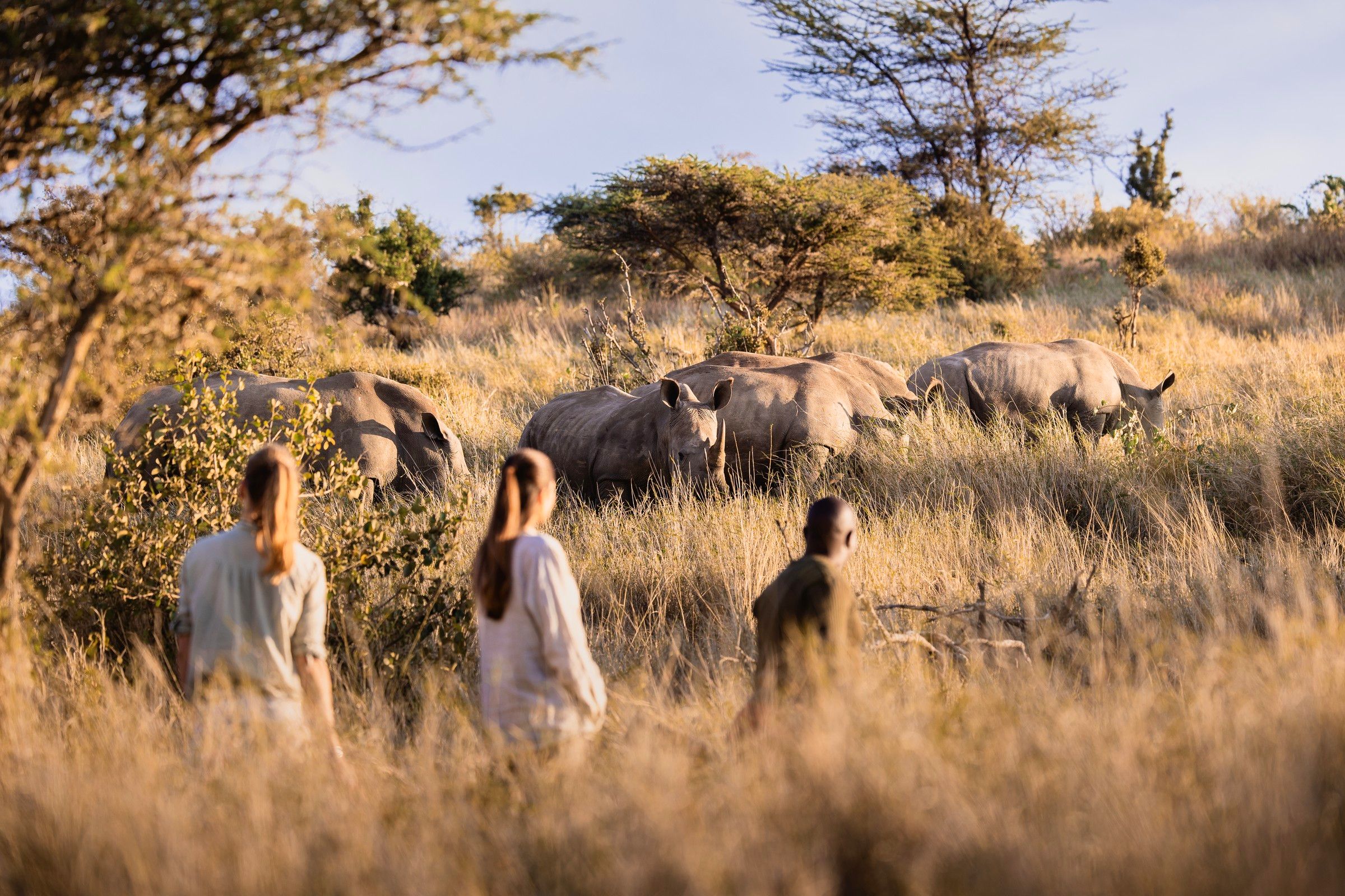 Wildlife with purpose