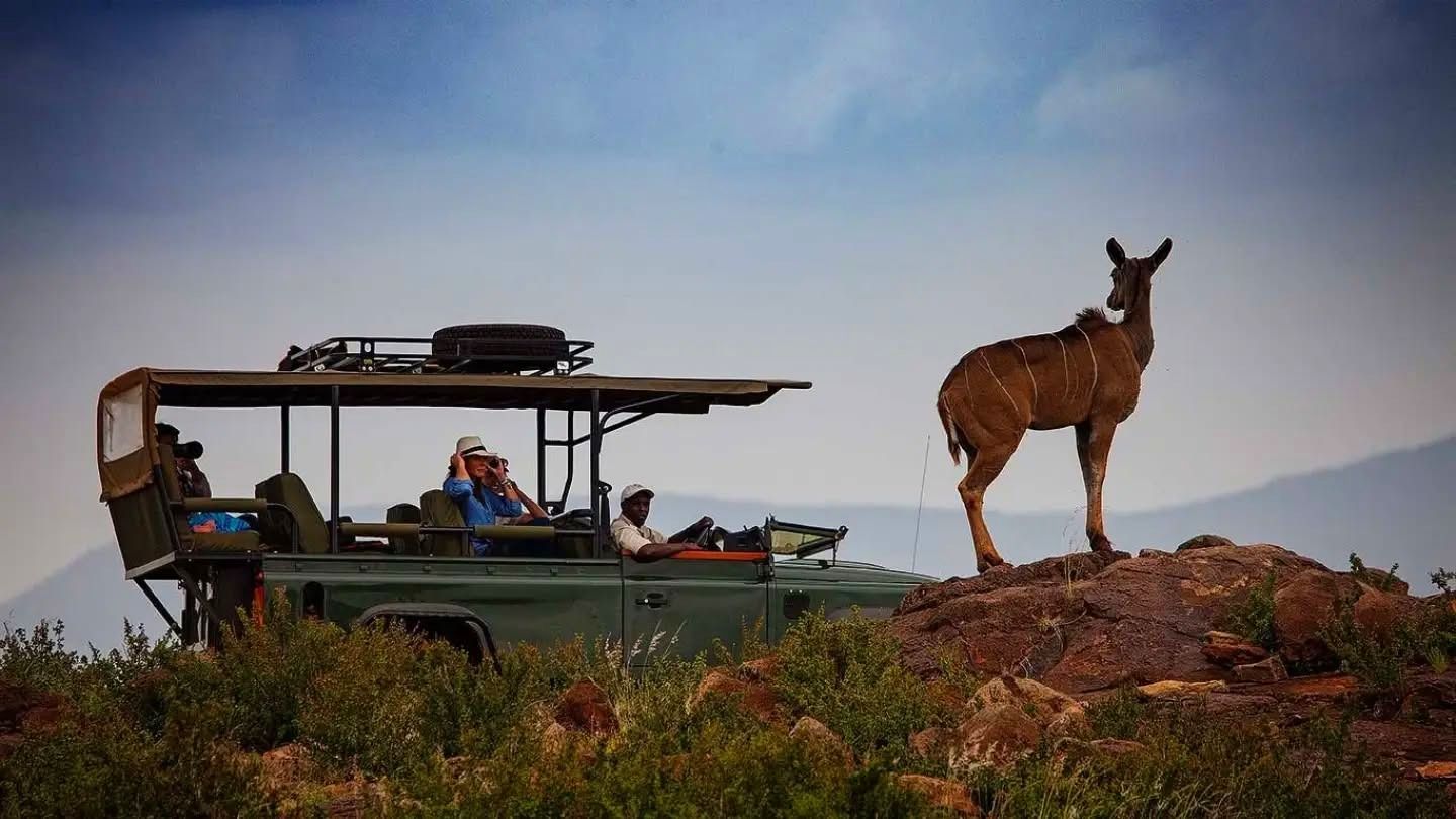Game drives