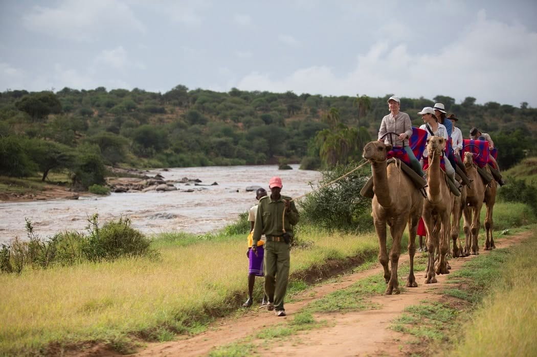 Horseback & Camel Experiences