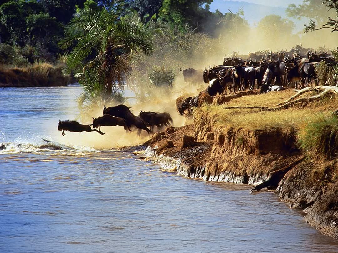 Great Migration