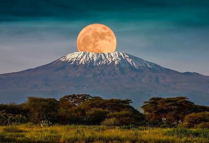 Mountain Climbing — A Safari Beyond the Wild