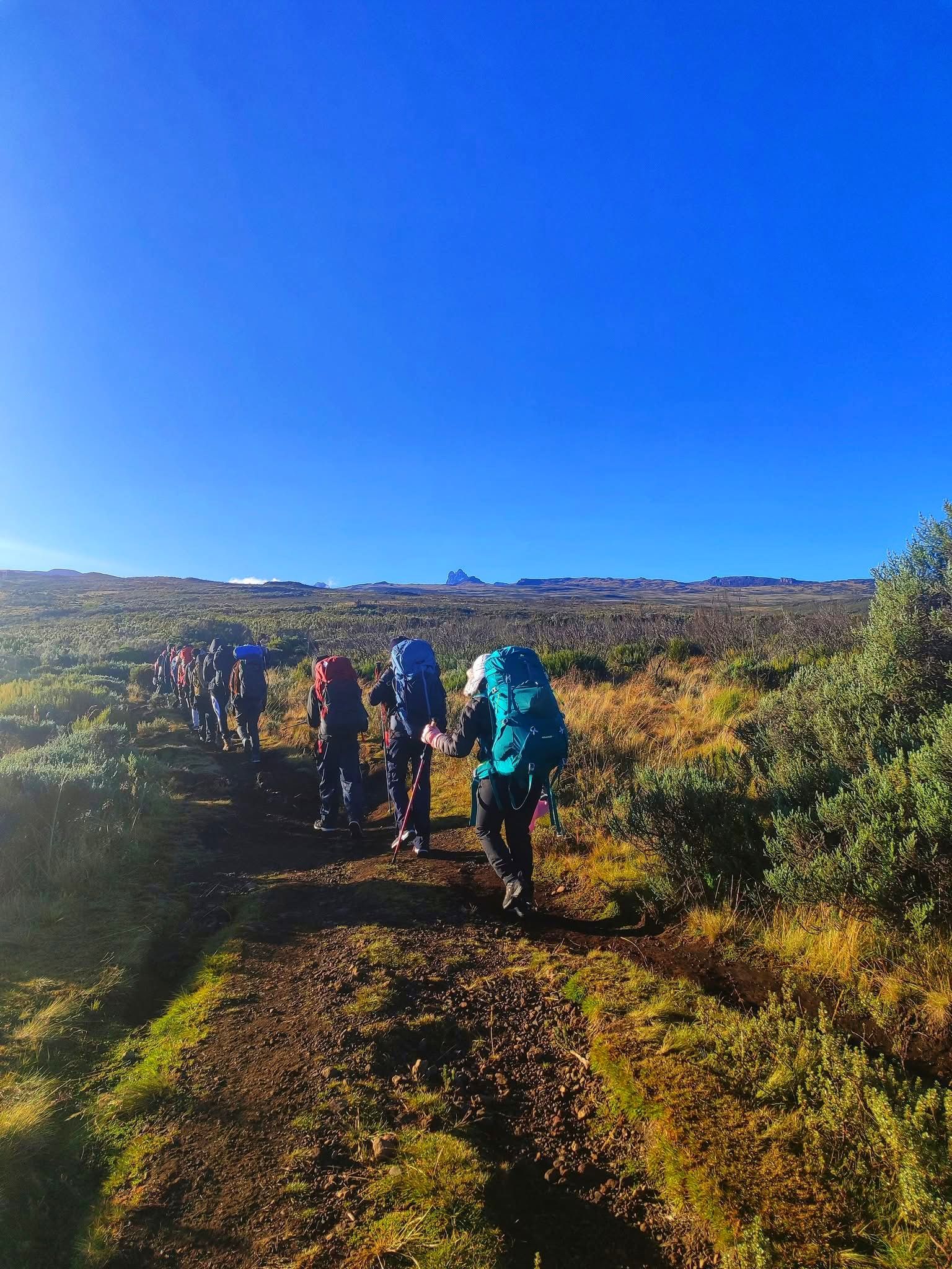 Mountain Climbing — A Safari Beyond the Wild