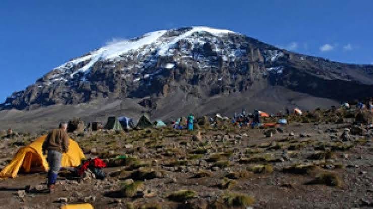 Mountain Climbing — A Safari Beyond the Wild