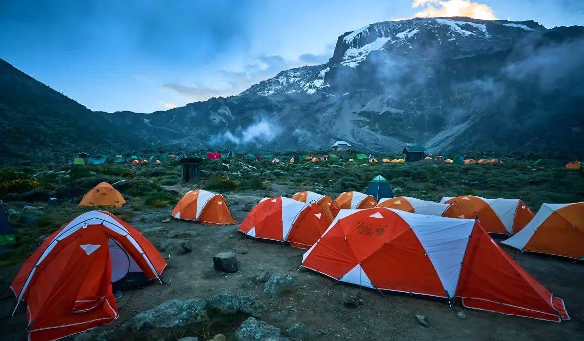 Mountain Climbing — A Safari Beyond the Wild