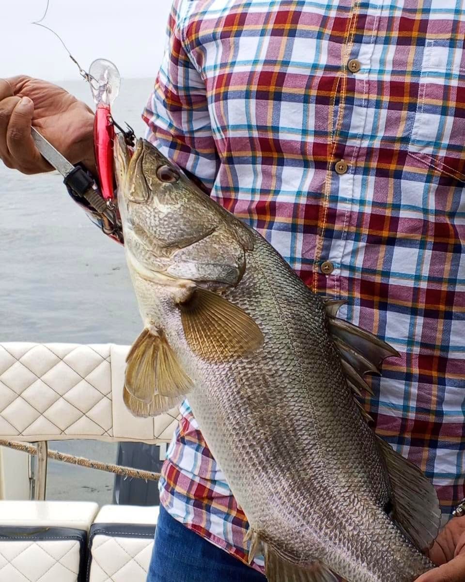 Sport fishing