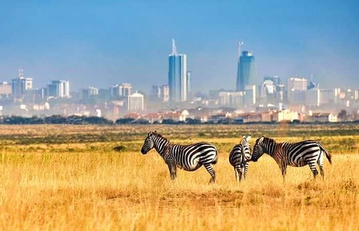 A National Park on the City's Doorstep