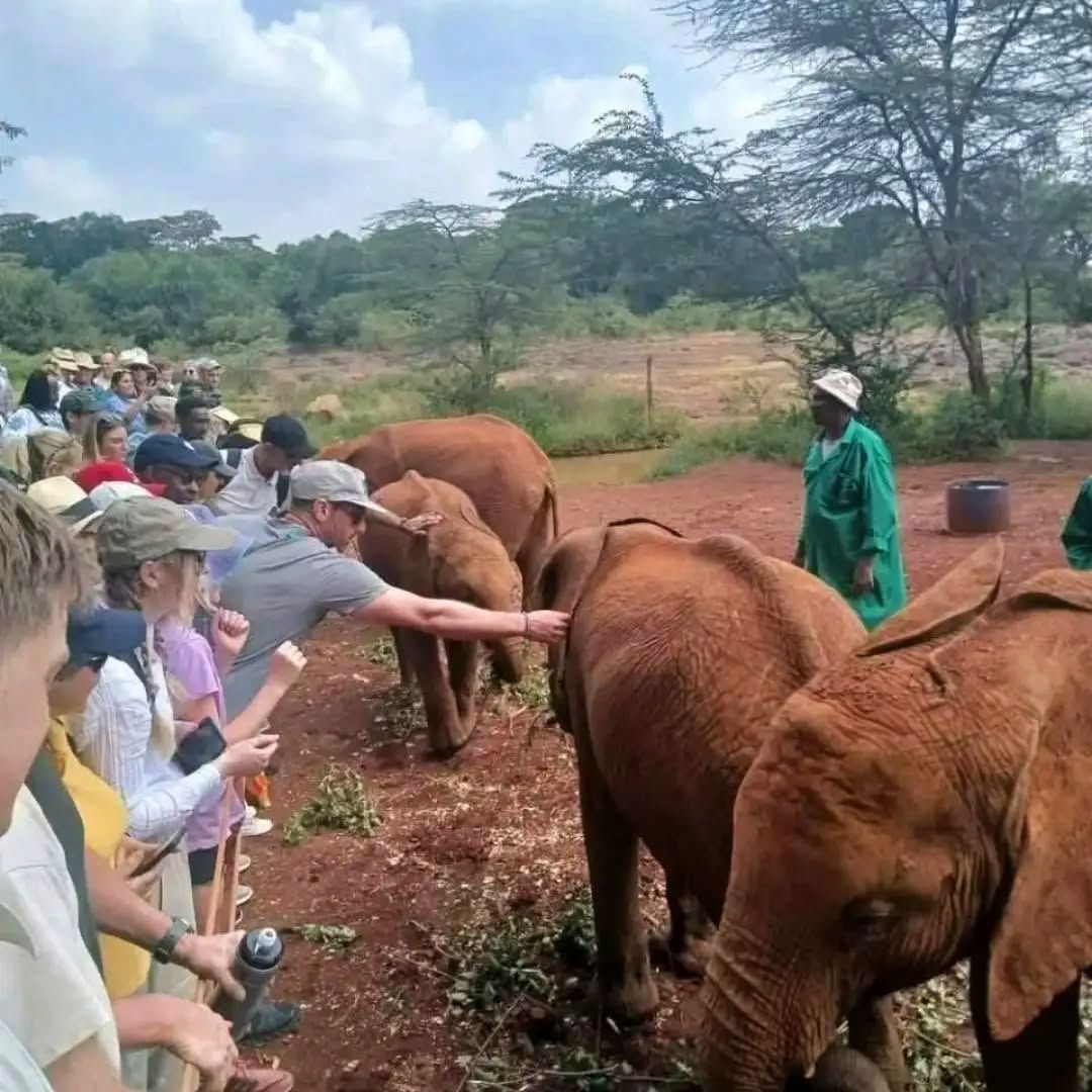 Conservation You Can Be Part Of