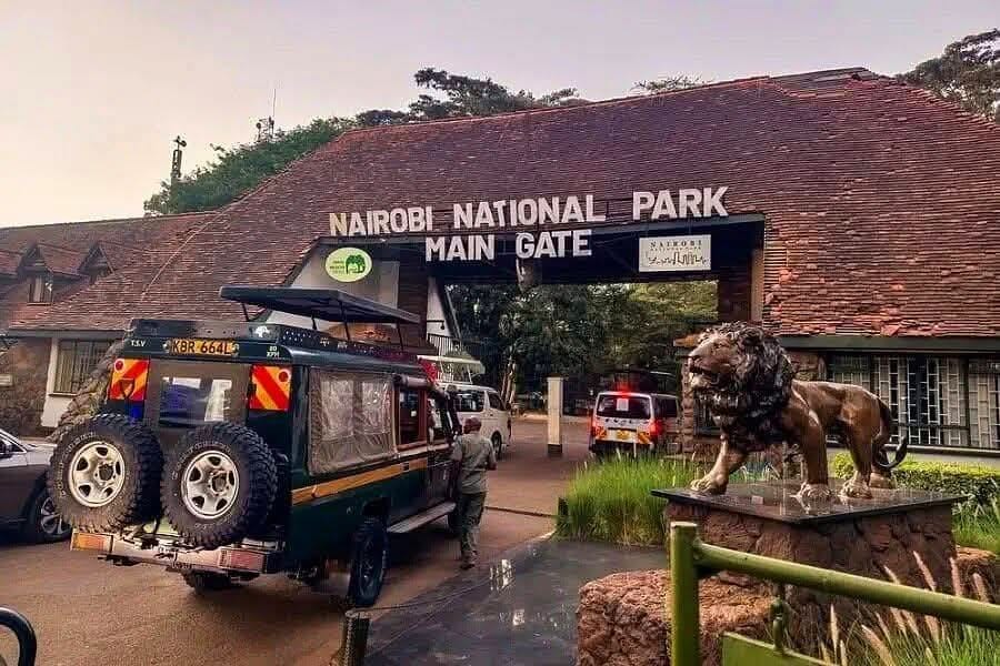 Game drives in Nairobi National Park