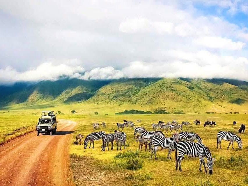 Abundant wildlife