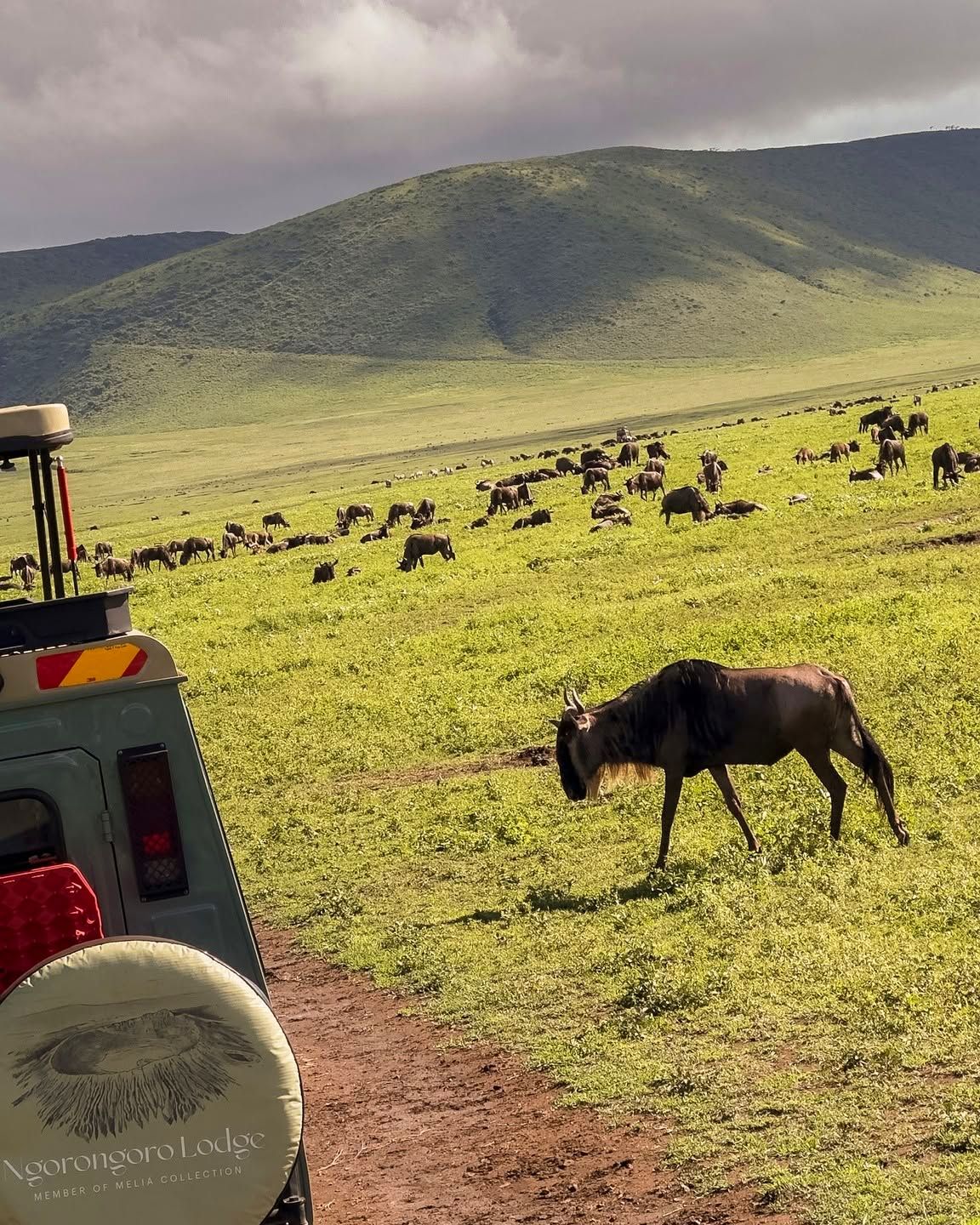 Crater floor game drives