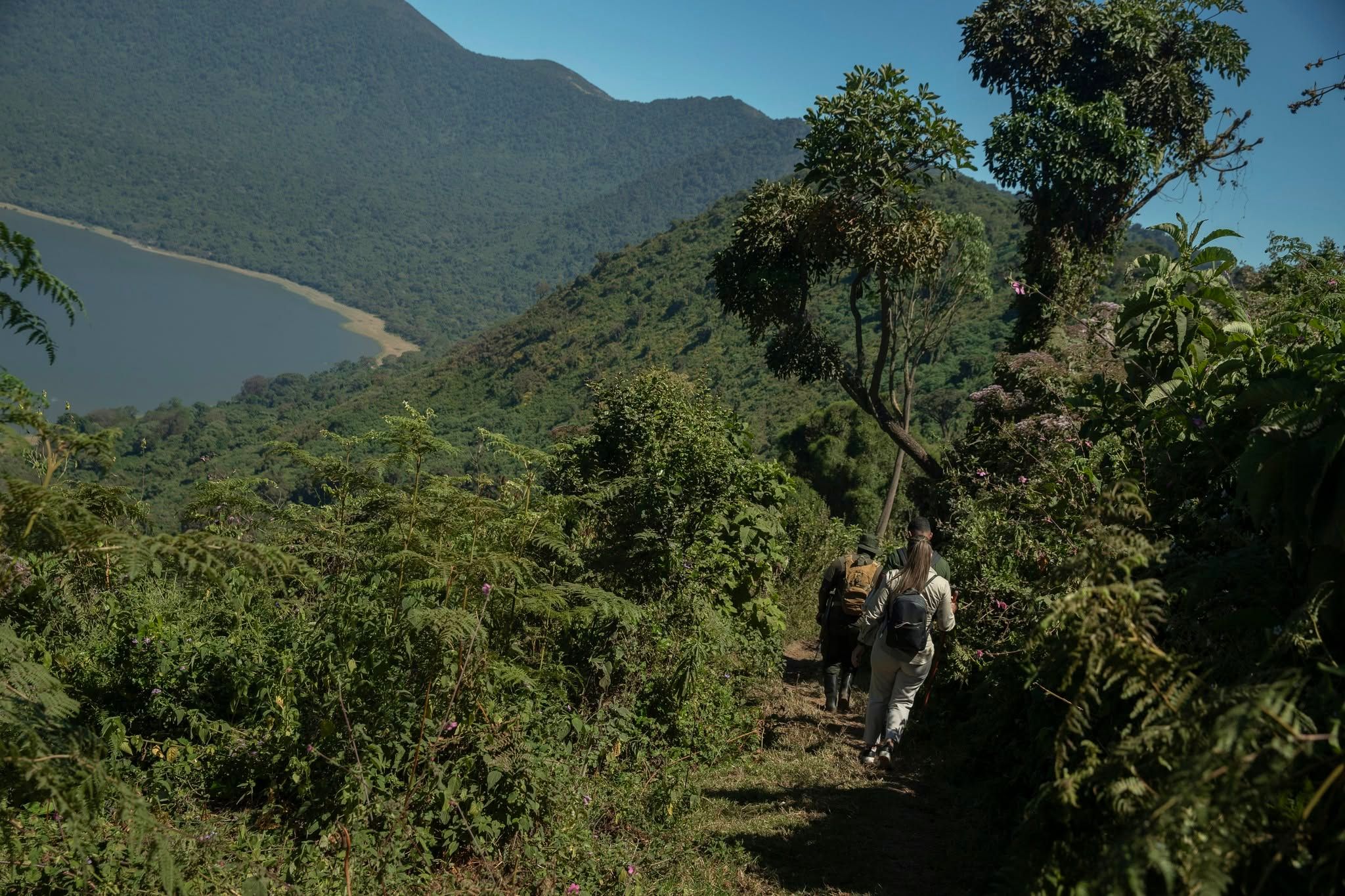 Guided rim walks
