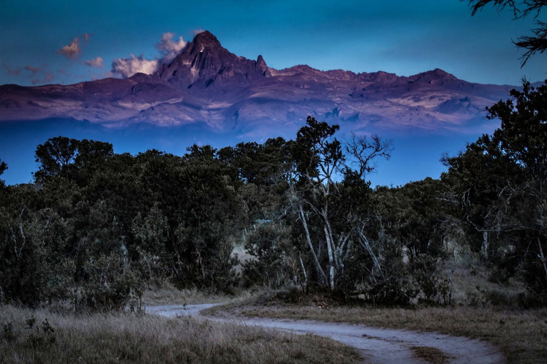Night Game Drives — A Nocturnal Safari Adventure